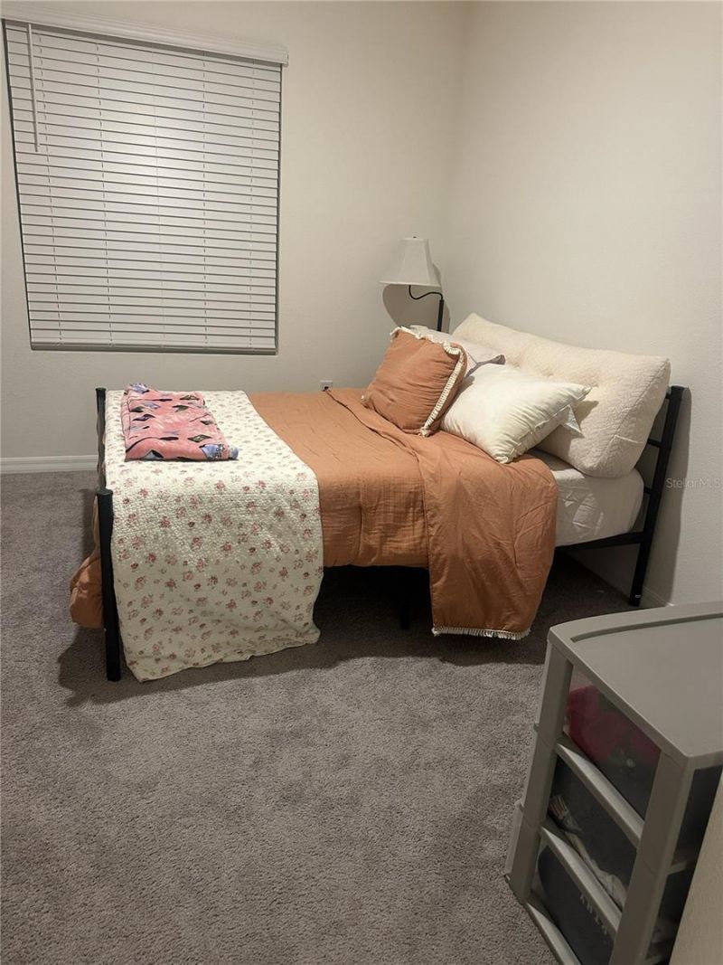 34276 Redwood Dawn Lane, Wesley Chapel, FL 33543 Photo