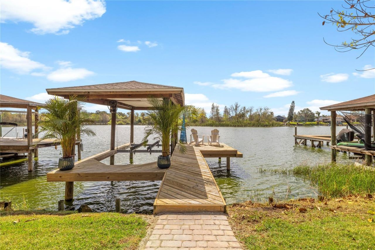 1240 Vinetree Drive, Brandon, FL 33510 Photo