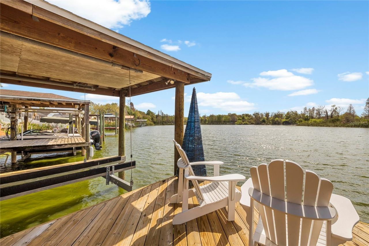 1240 Vinetree Drive, Brandon, FL 33510 Photo