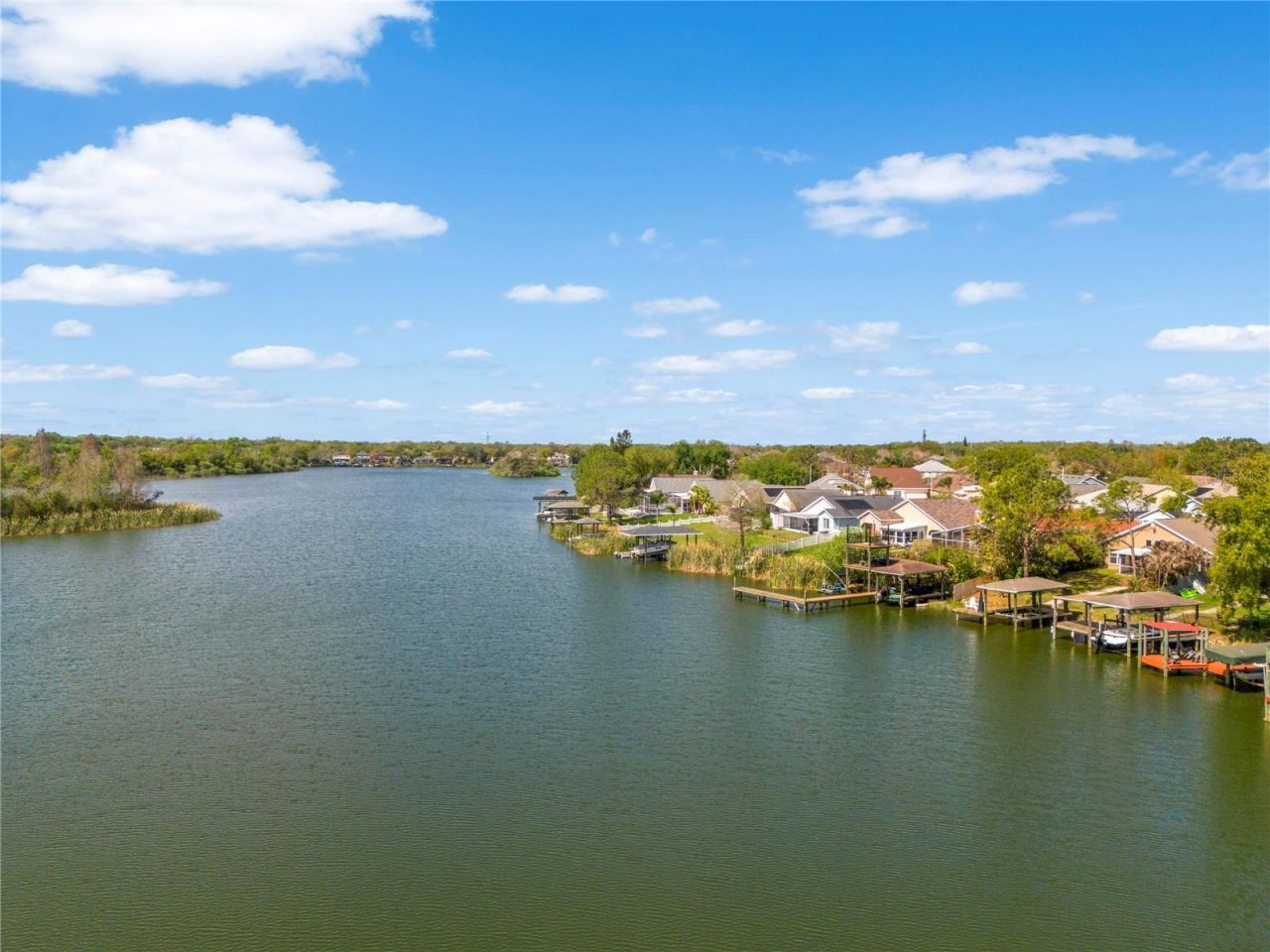 1240 Vinetree Drive, Brandon, FL 33510 Photo