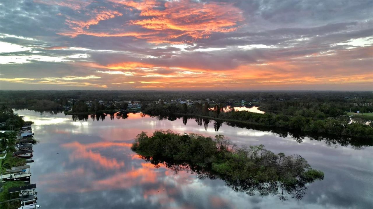 1240 Vinetree Drive, Brandon, FL 33510 Photo