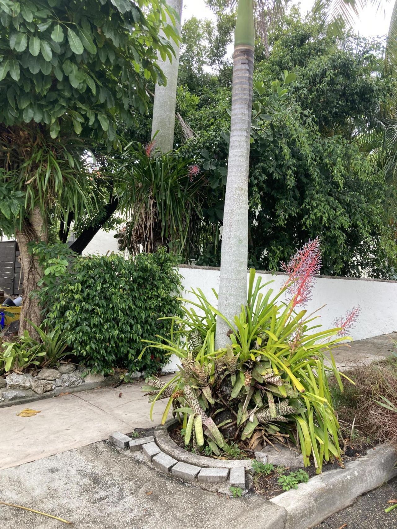 824 35th Street, West Palm Beach, FL 33407 Photo