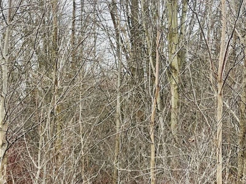 00 Us-322, Orwell, OH 44076 Photo 2