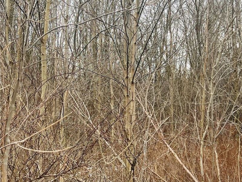 00 Us-322, Orwell, OH 44076 Photo 3