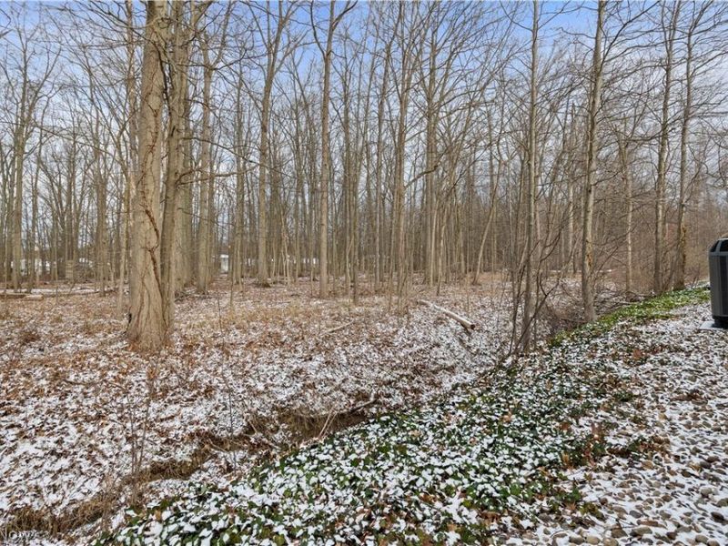 33112 Cedar Branch Circle, North Ridgeville, OH 44039 Photo 37