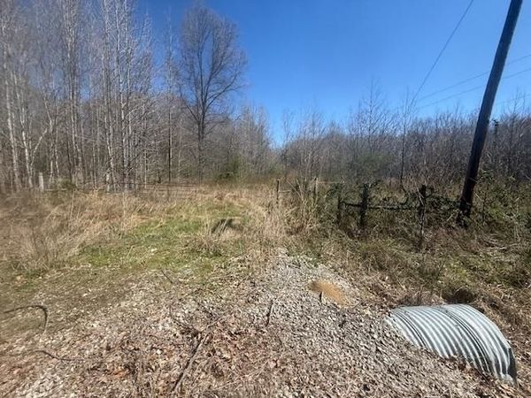 TRACT 15 HWY 22A HWY, Jacks Creek, TN 38347