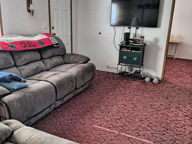 105 Mill Street, Green Camp, OH 43322 Photo 2