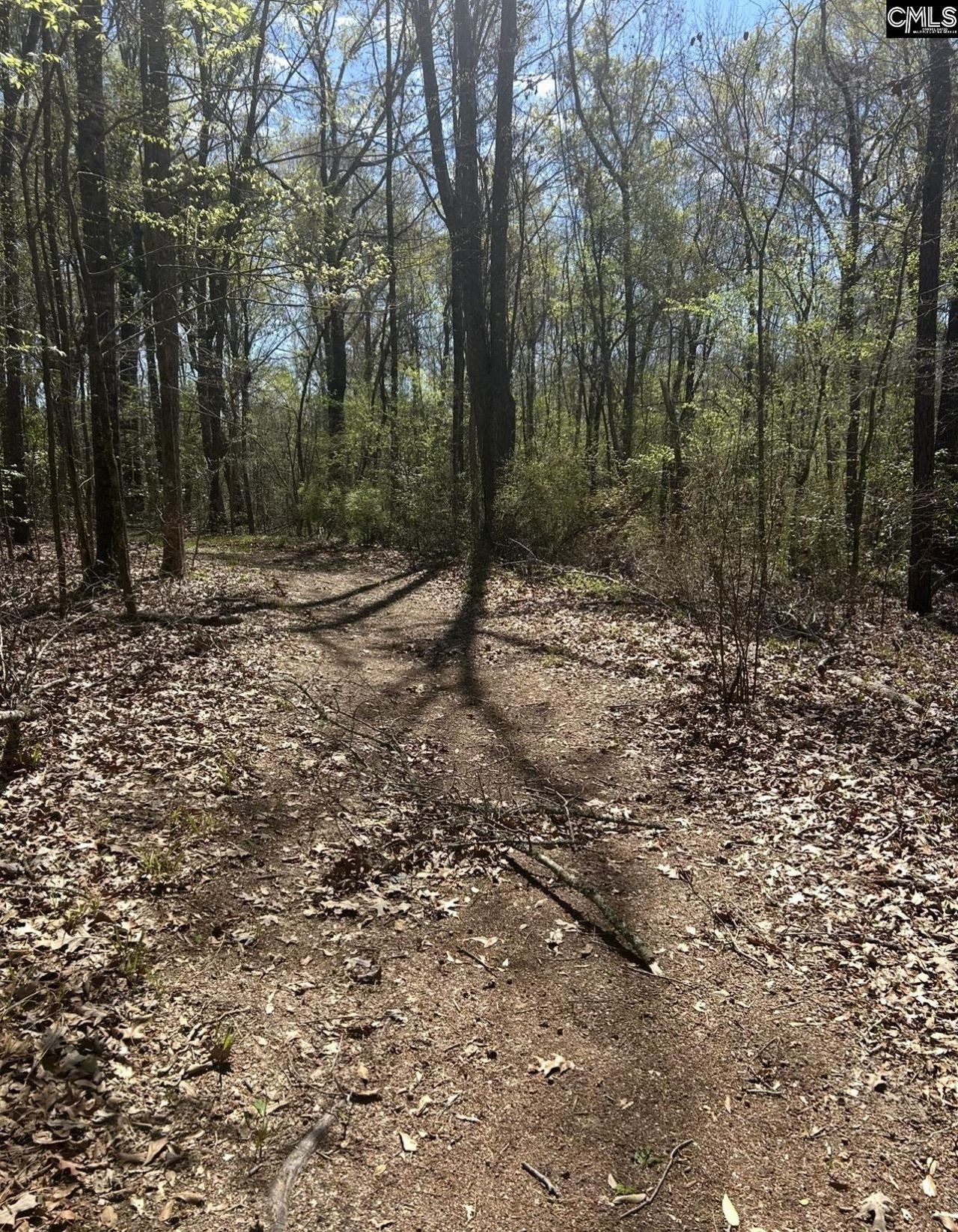 1856 River Road Photo 10