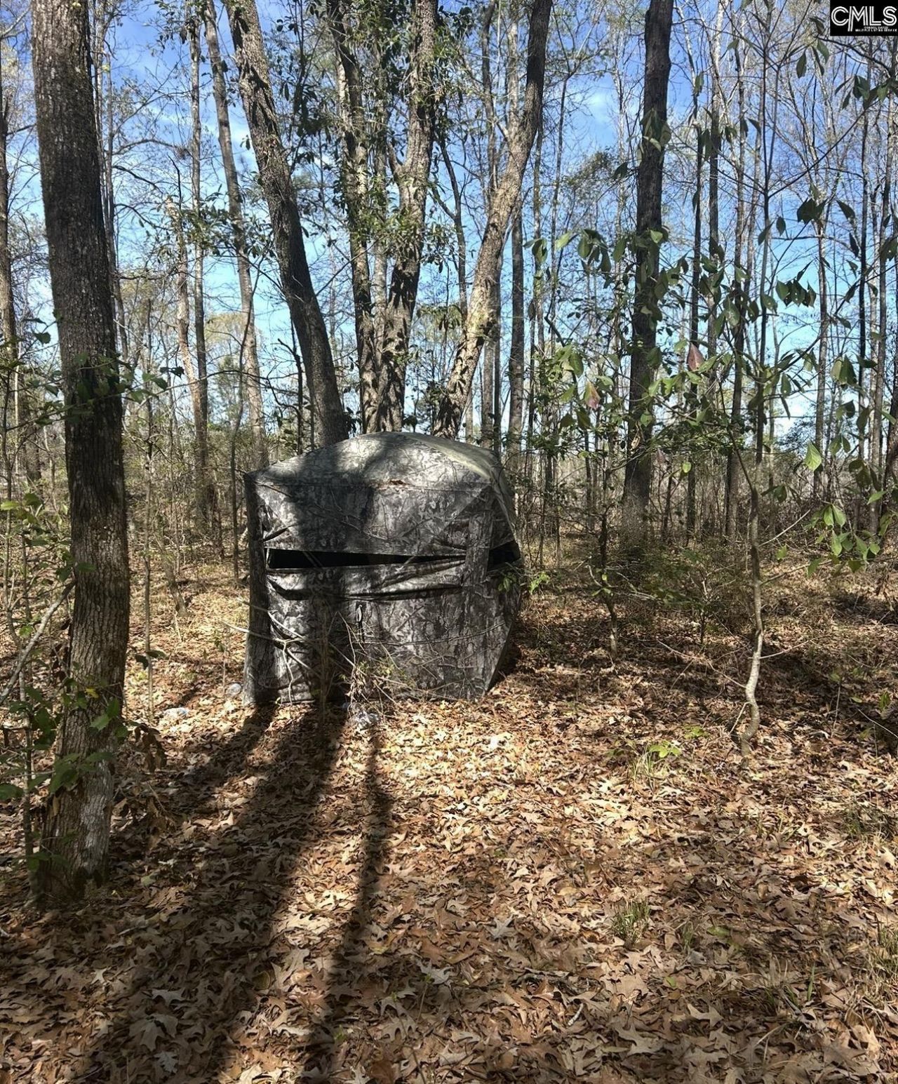 1856 River Road Photo 11