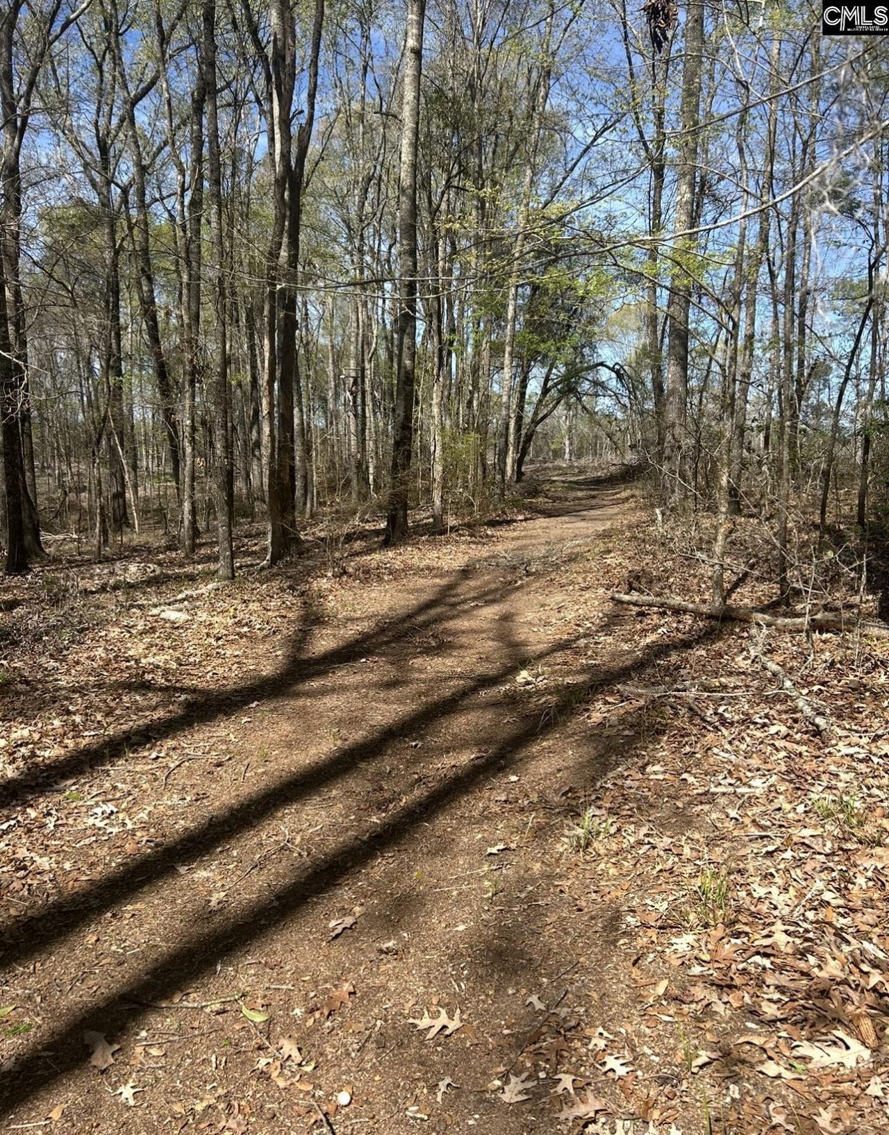 1856 River Road Photo 12