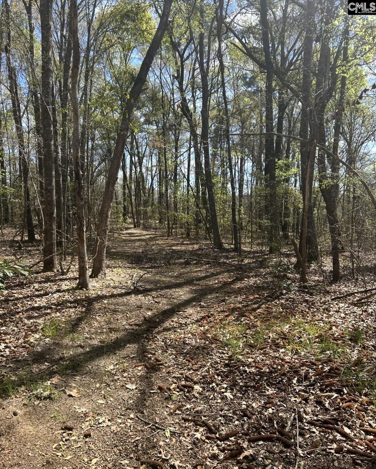 1856 River Road Photo 13