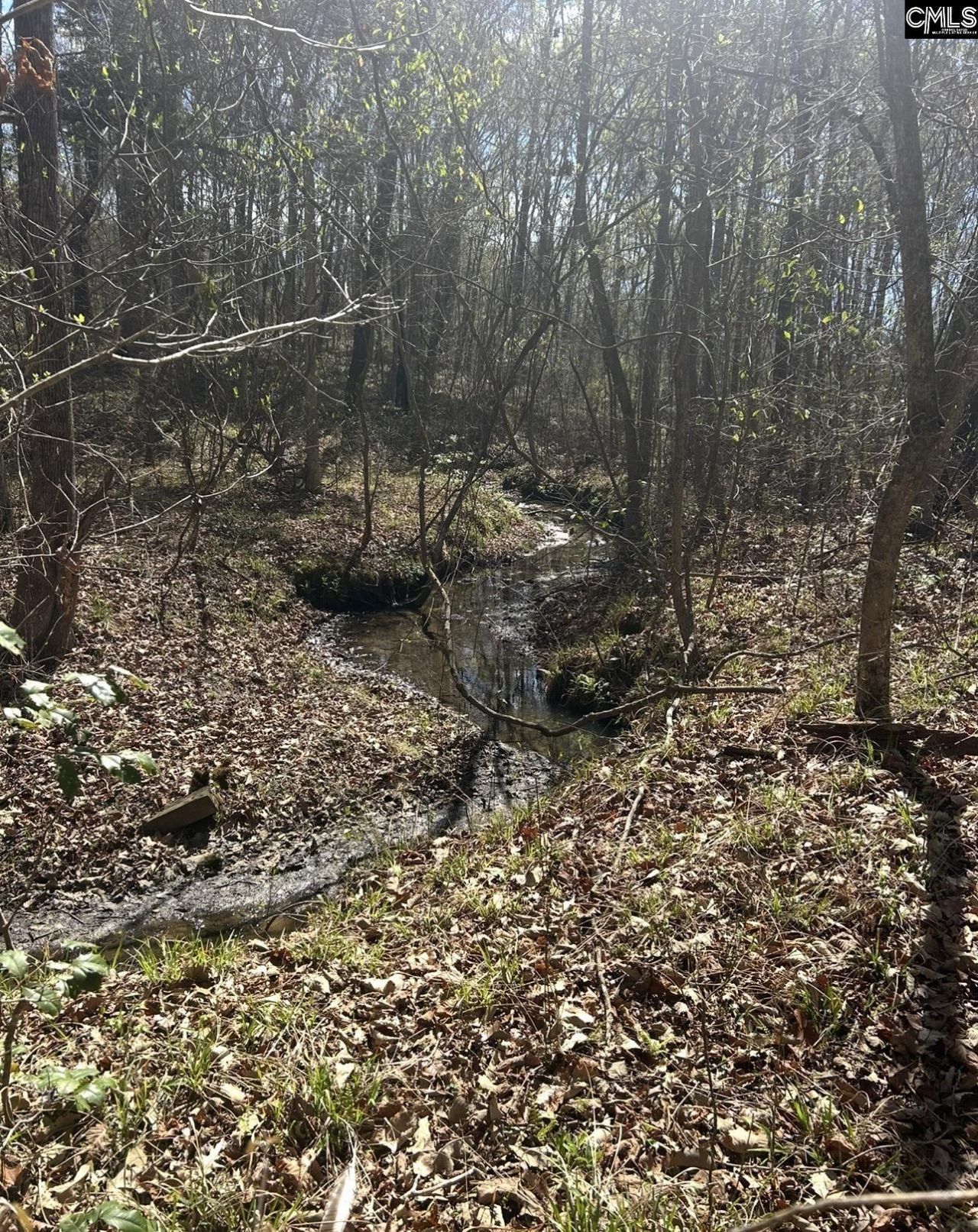 1856 River Road Photo 14