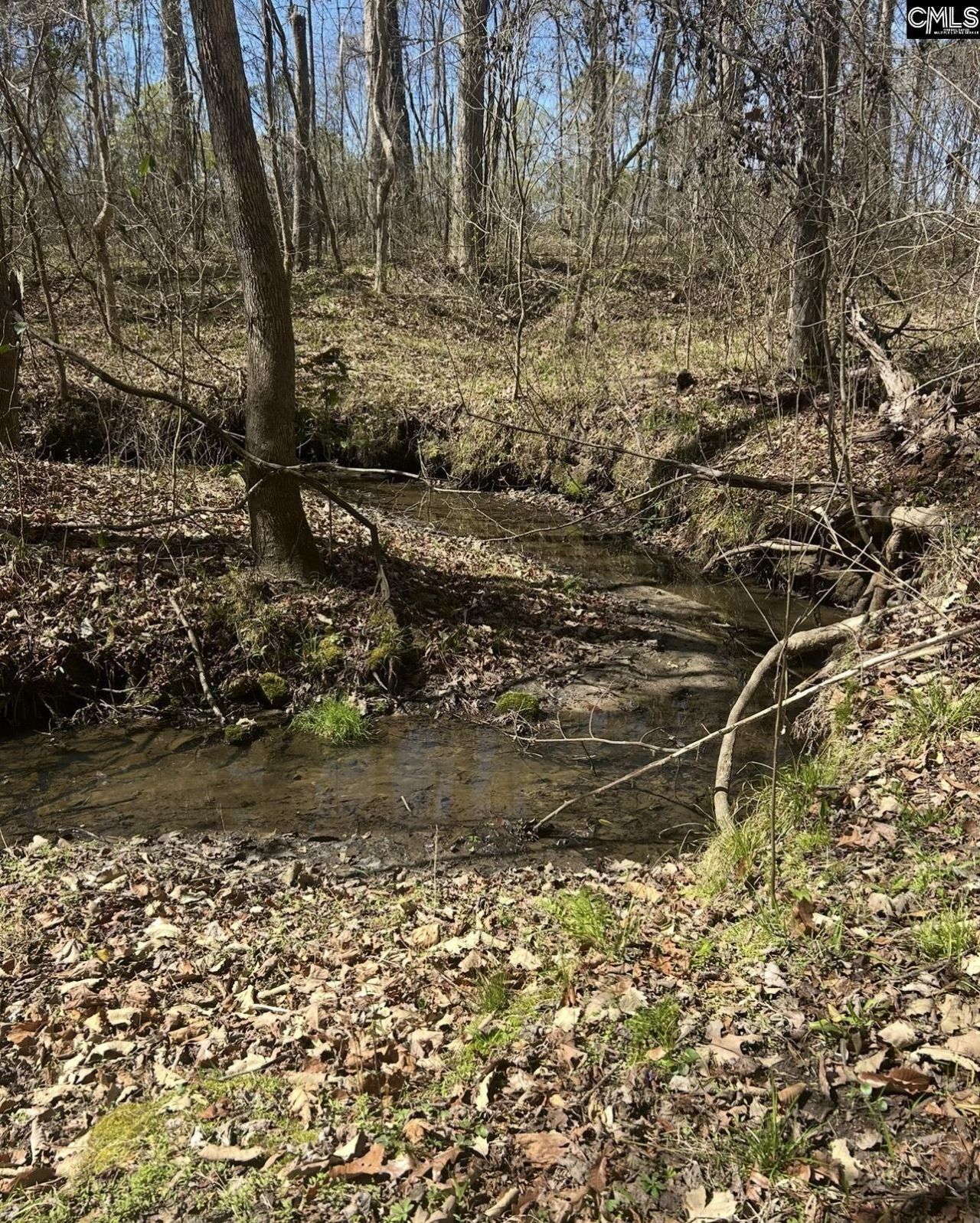 1856 River Road Photo 15