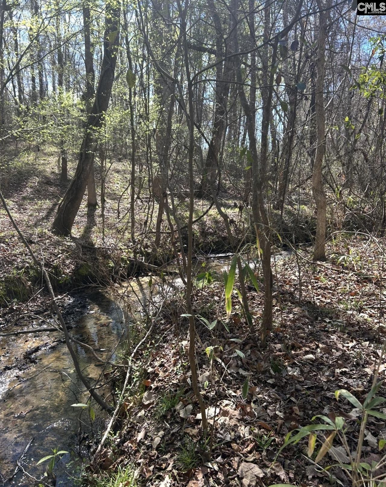 1856 River Road Photo 16