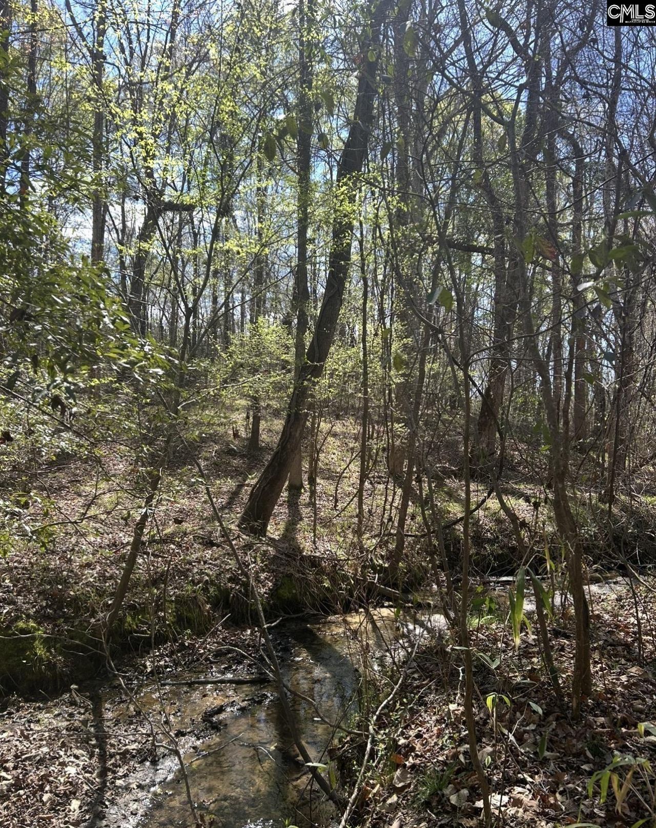 1856 River Road Photo 17