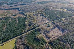 1856 River Road photo 4