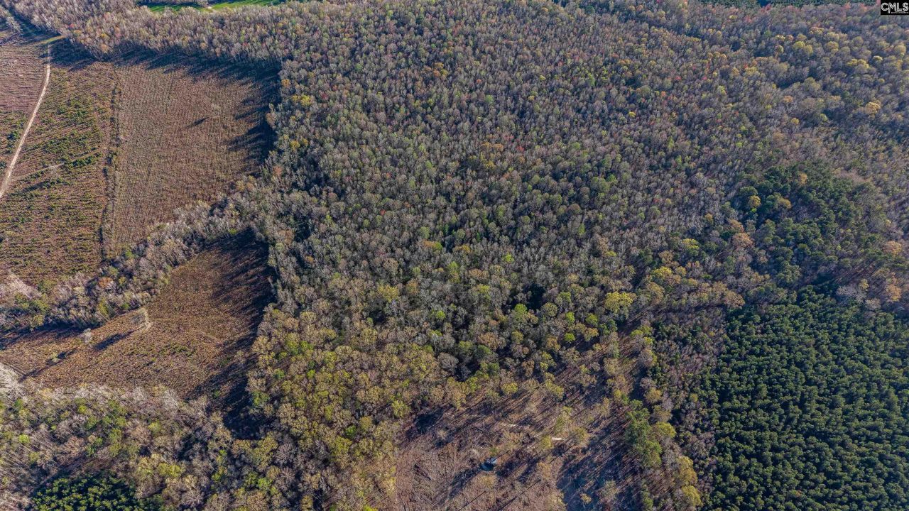 1856 River Road Photo 20