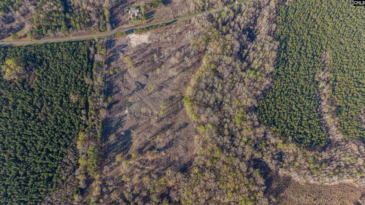 1856 River Road Photo 21