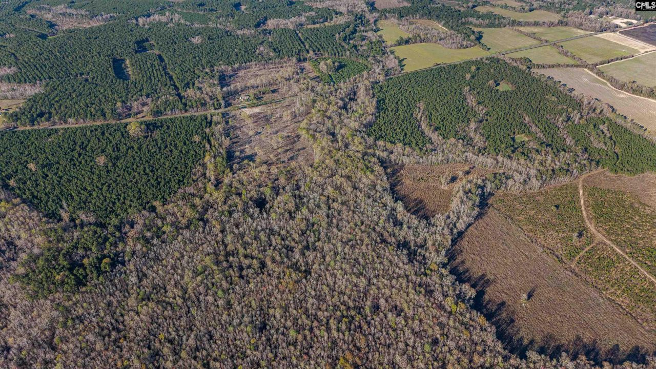 1856 River Road Photo 22