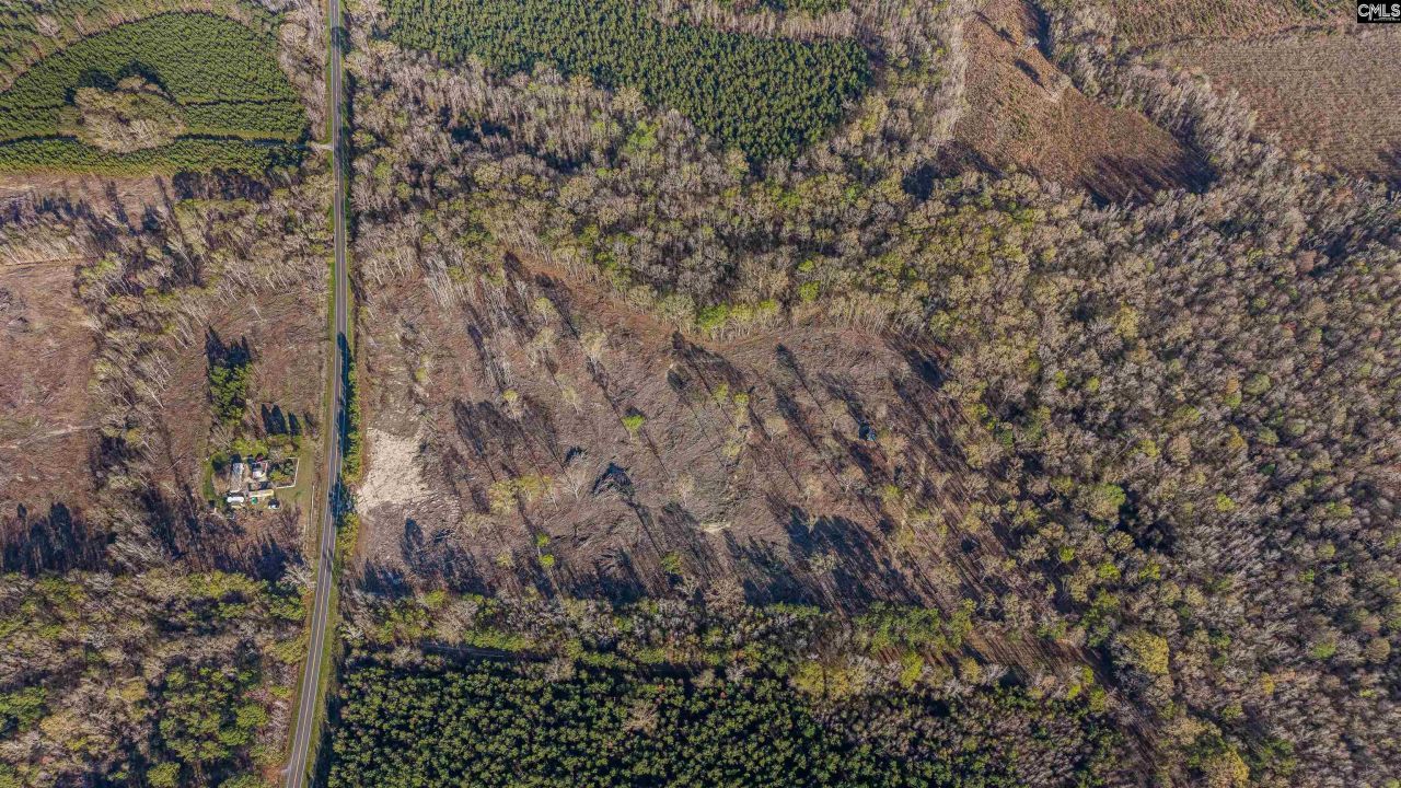 1856 River Road Photo 23