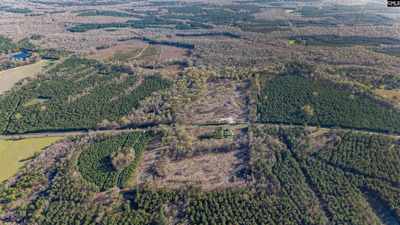 1856 River Road Photo 27