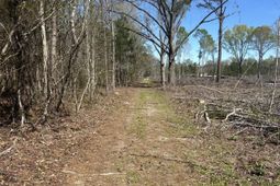 1856 River Road photo 4