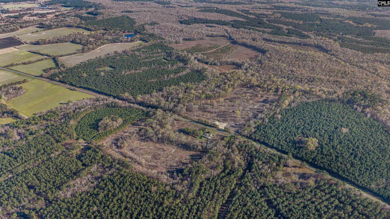 1856 River Road Photo 30