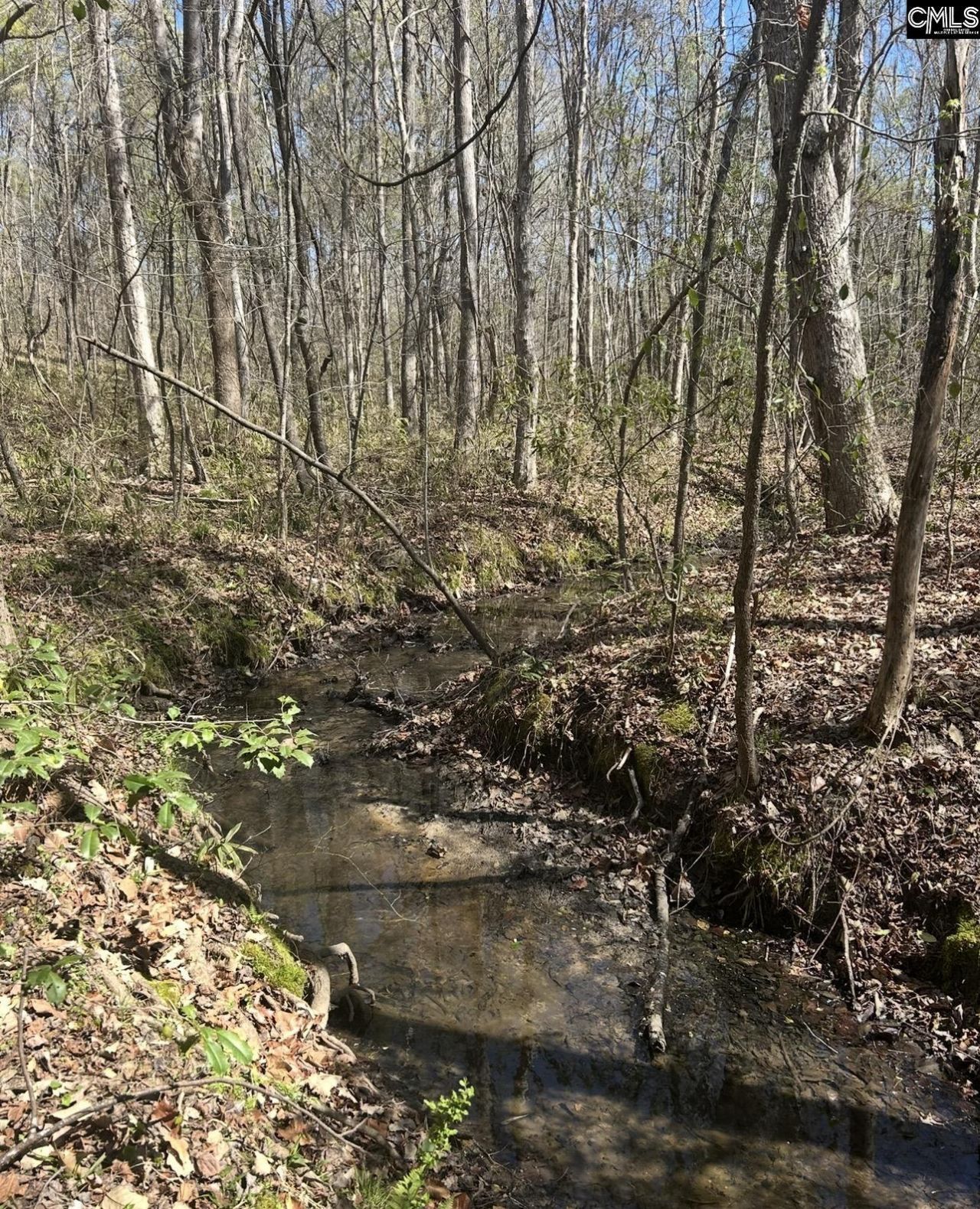 1856 River Road Photo 4