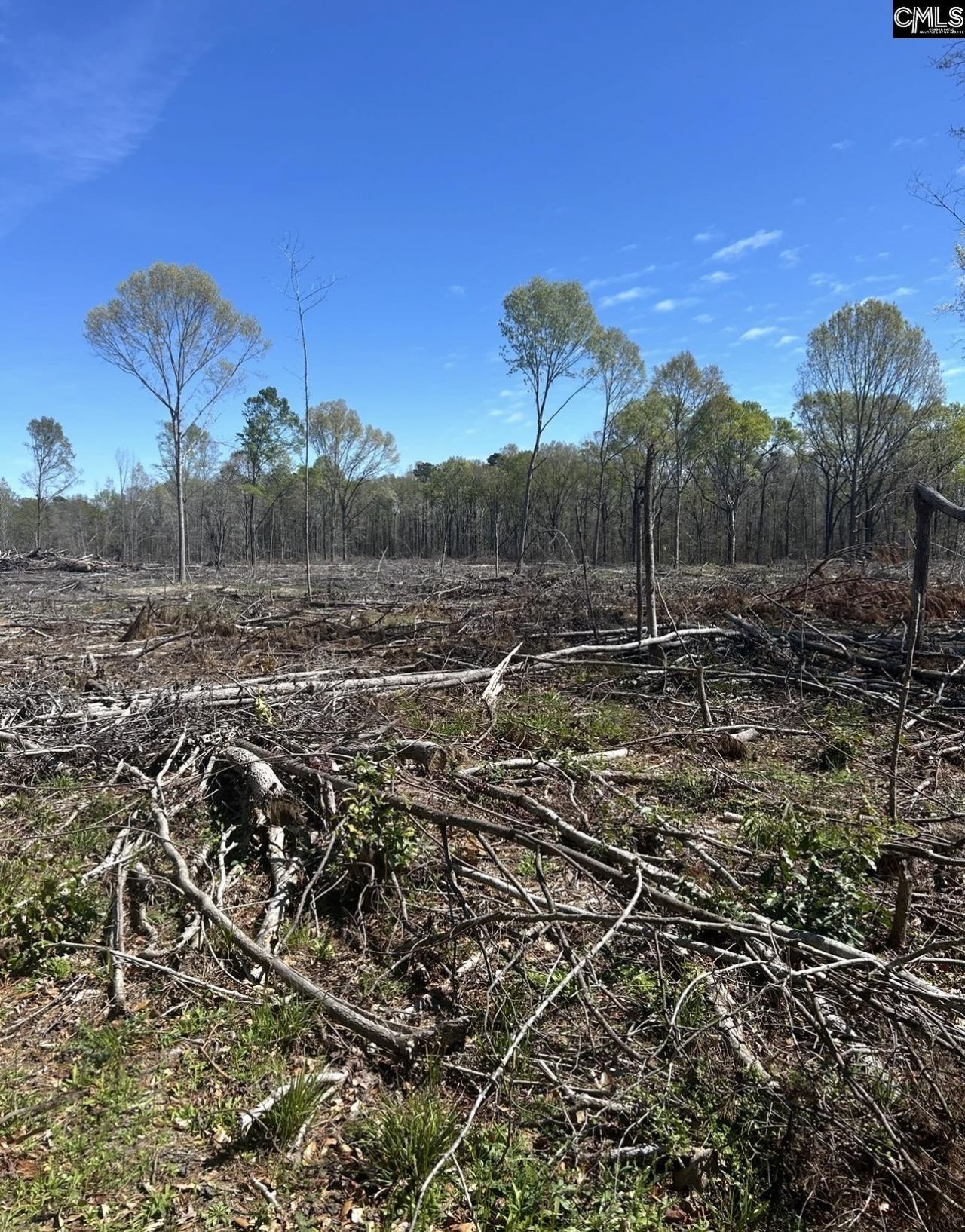 1856 River Road Photo 5