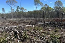 1856 River Road photo 4