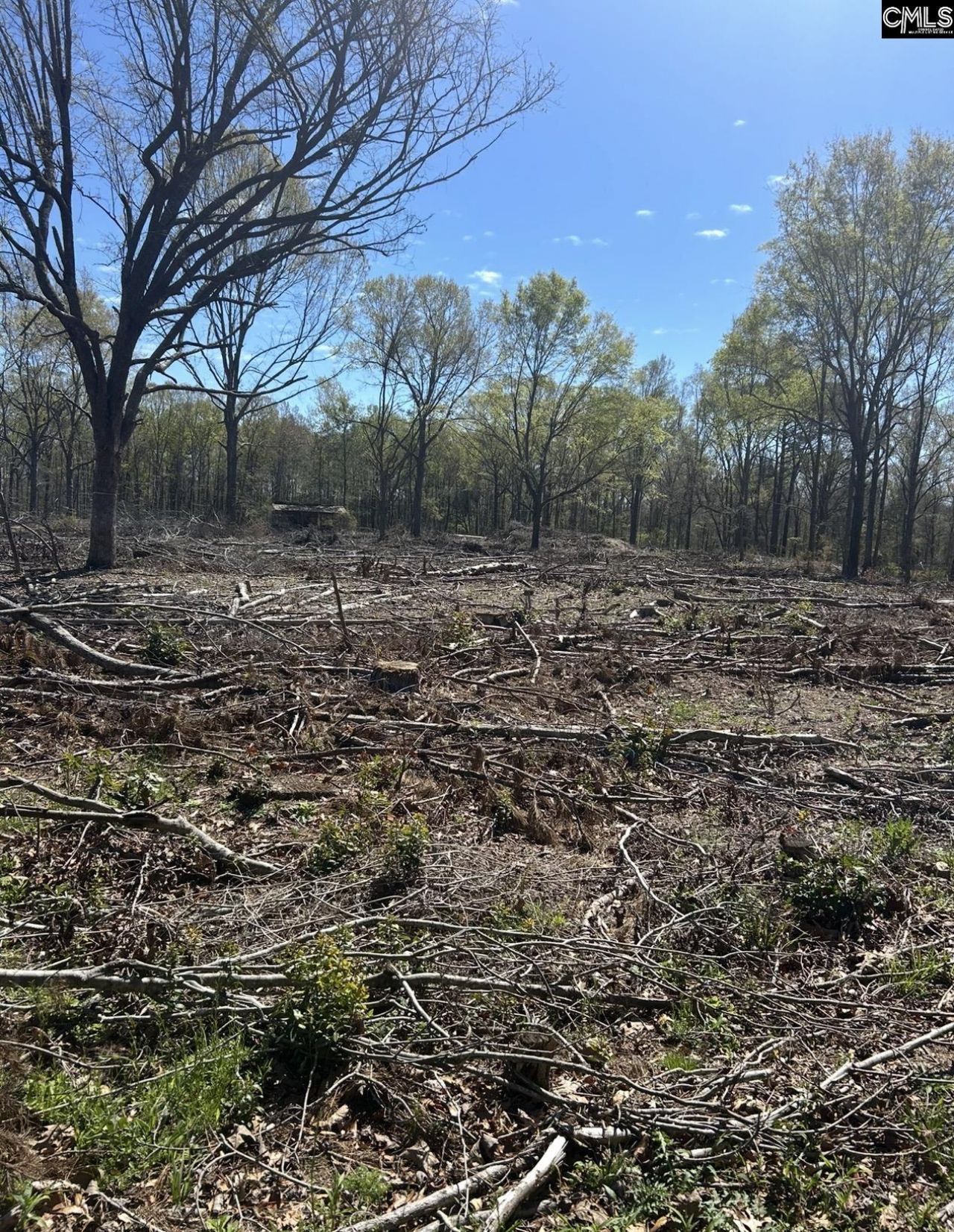 1856 River Road Photo 6