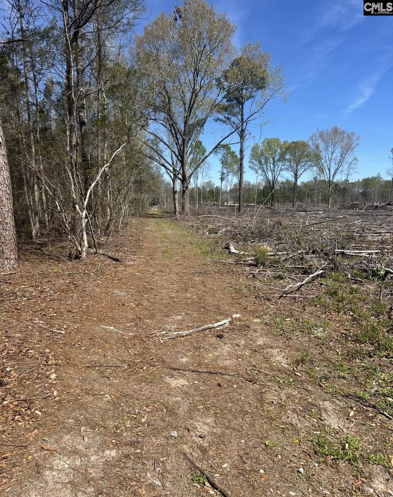 1856 River Road Photo 7