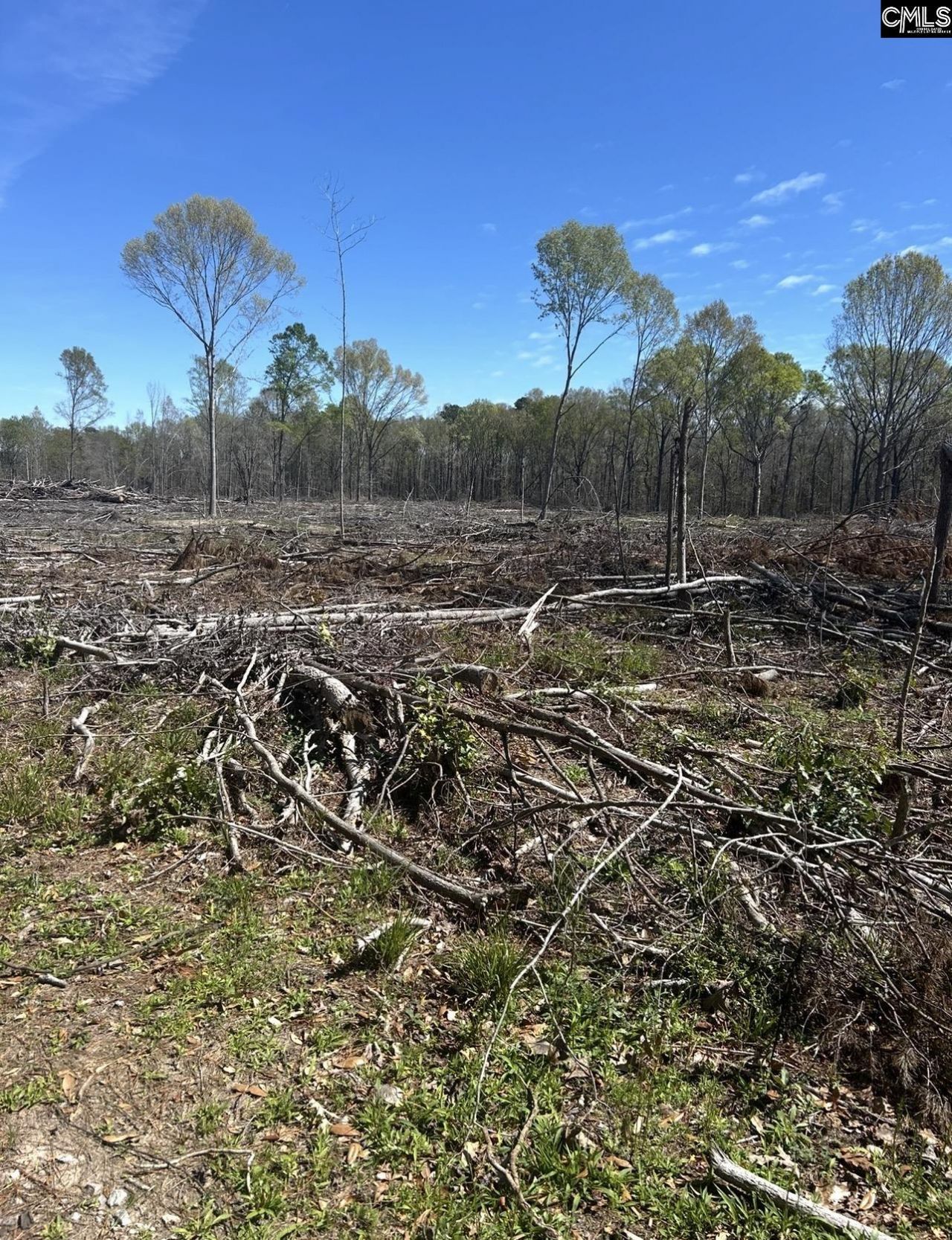 1856 River Road Photo 8