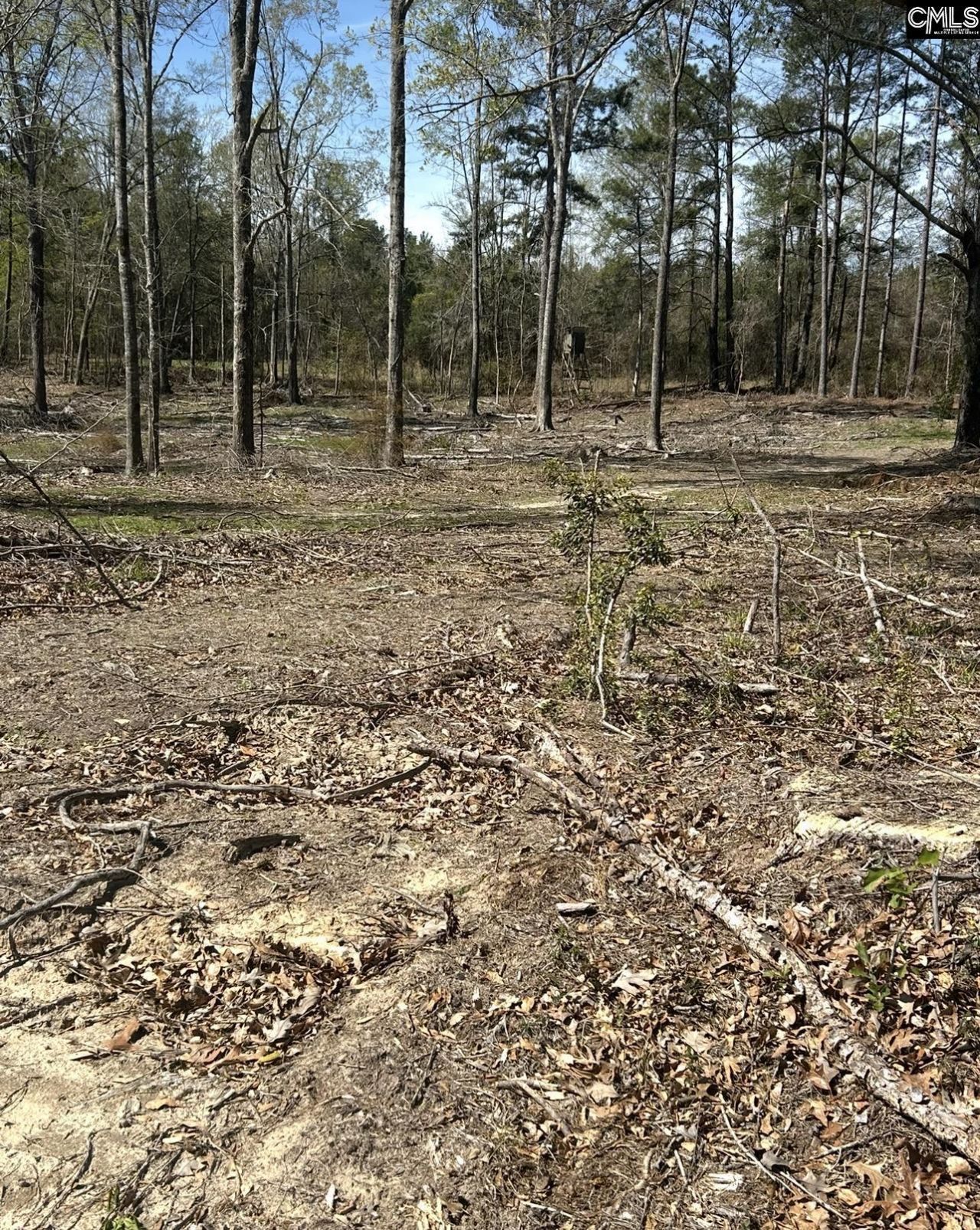 1856 River Road Photo 9