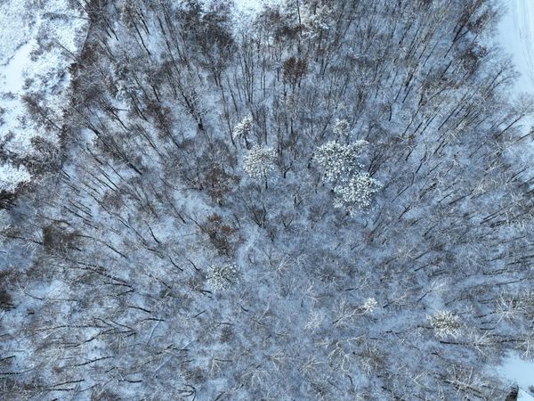 TBD Drake Circle , Pine River, MN 56474