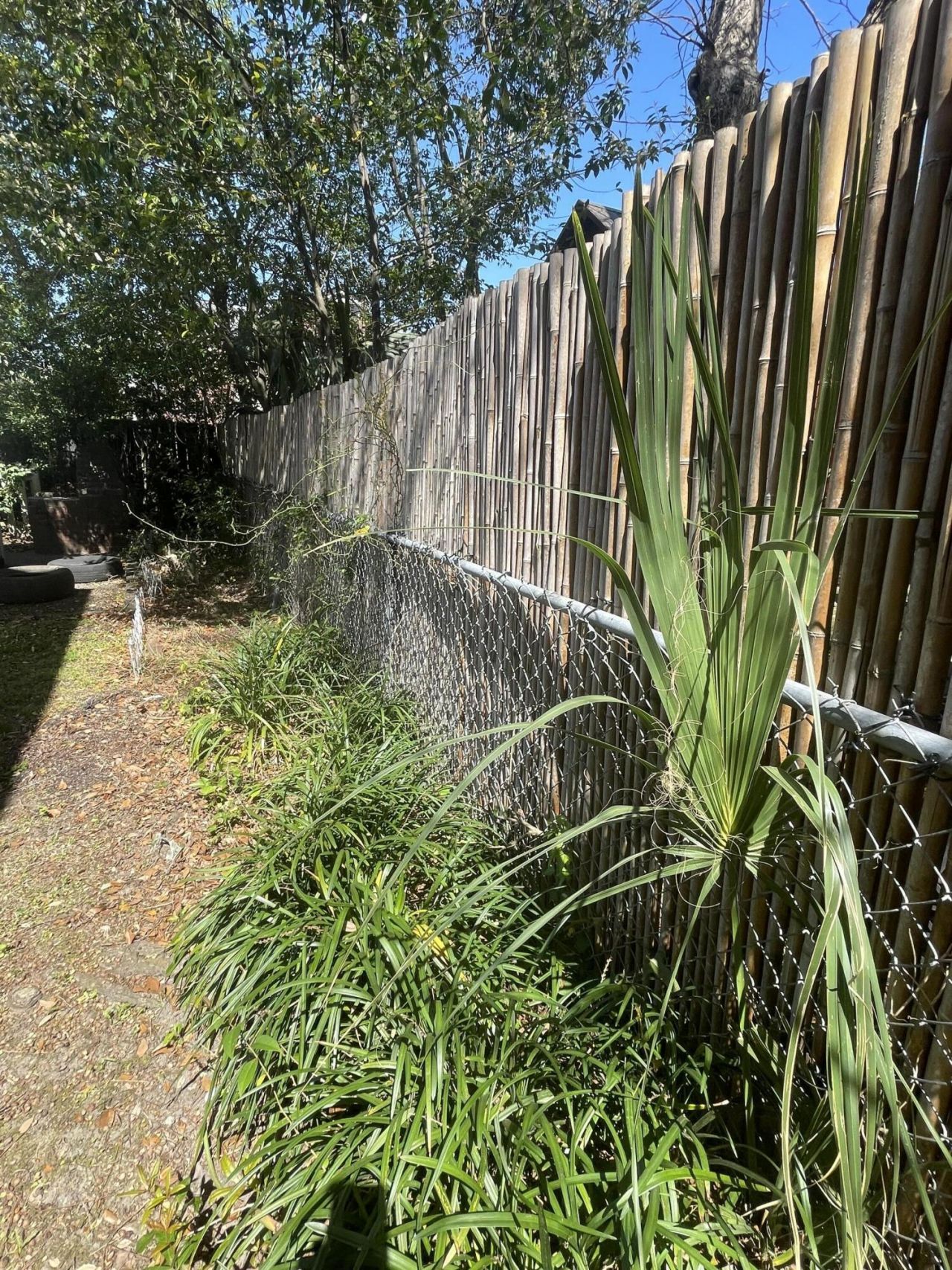 76 Dunnemann Avenue Photo 28