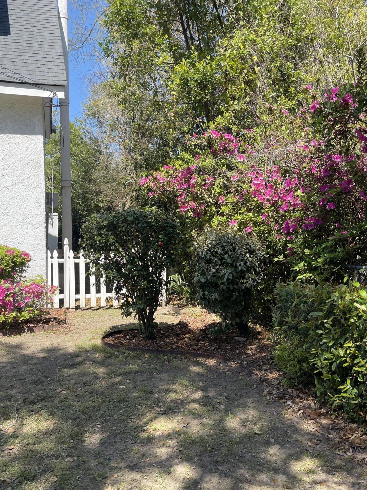 76 Dunnemann Avenue Photo 4