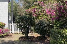 76 Dunnemann Avenue photo 4