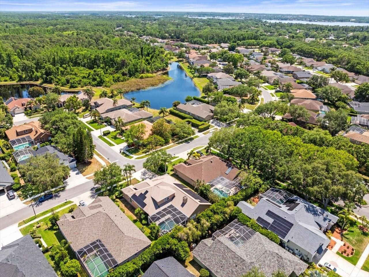 5216 Kernwood Court , Palm Harbor, FL 34685 Photo