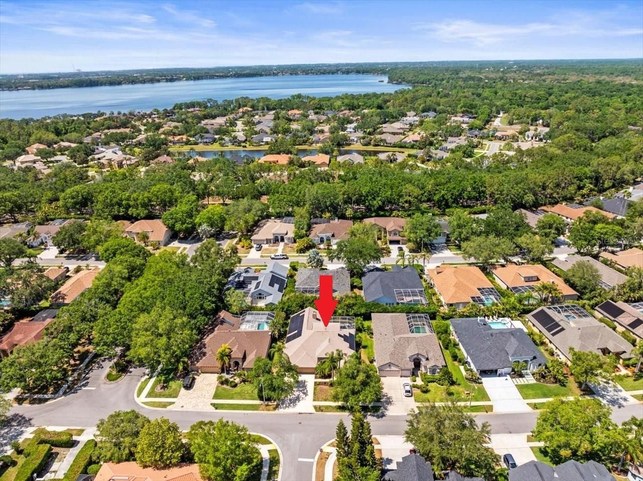 5216 Kernwood Court , Palm Harbor, FL 34685 Photo