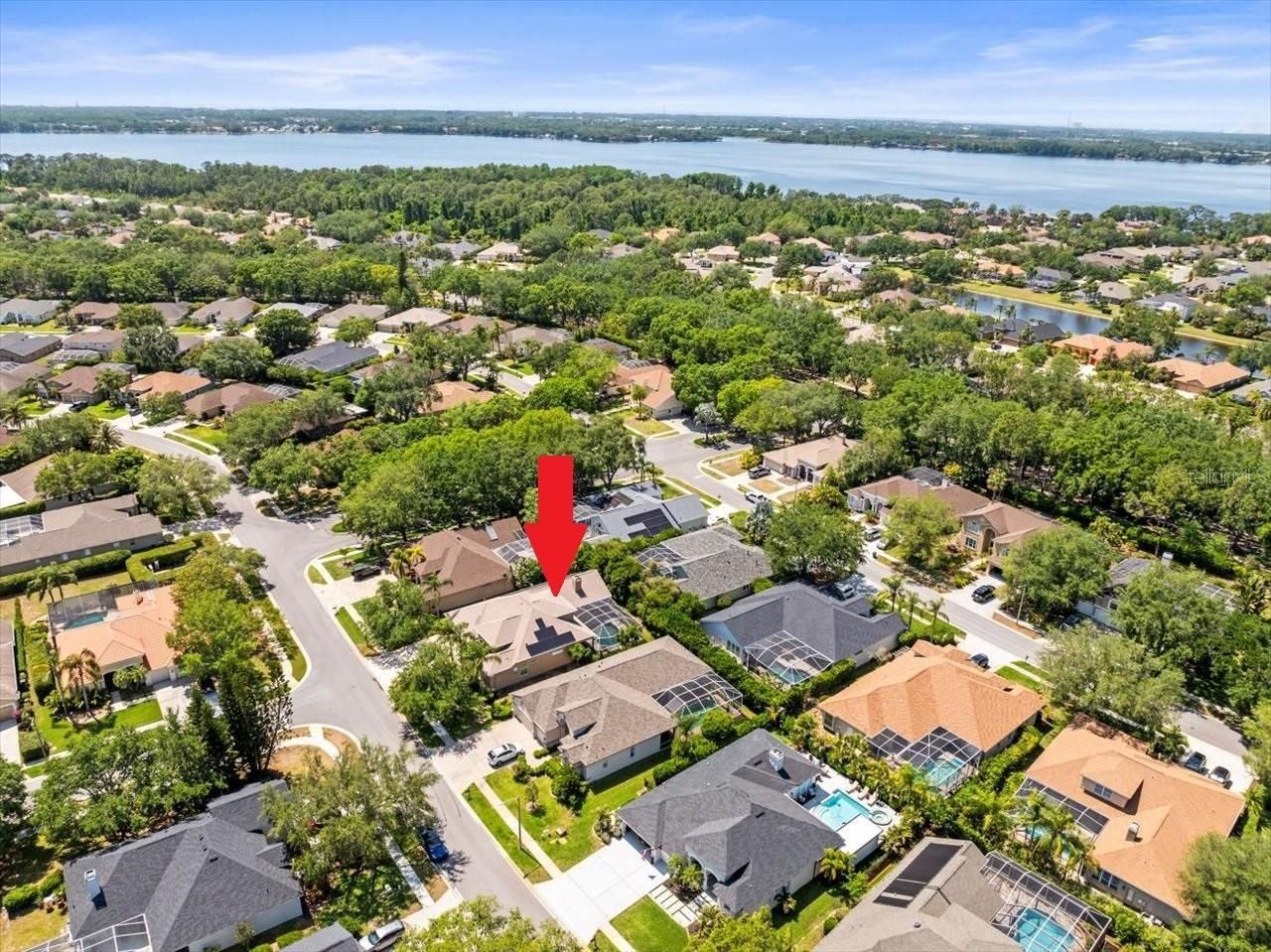 5216 Kernwood Court , Palm Harbor, FL 34685 Photo