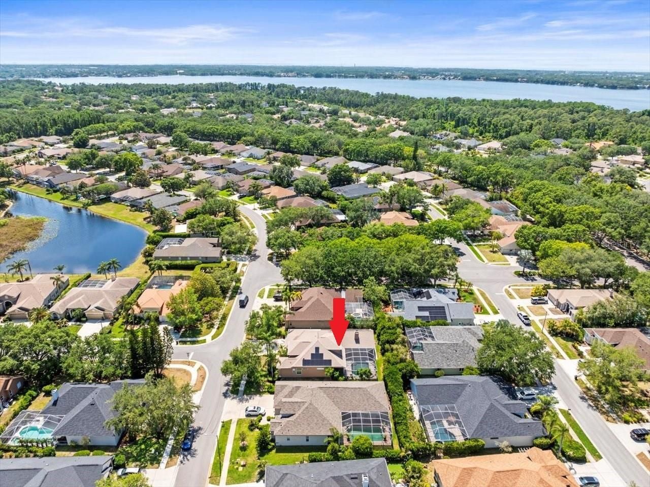 5216 Kernwood Court , Palm Harbor, FL 34685 Photo