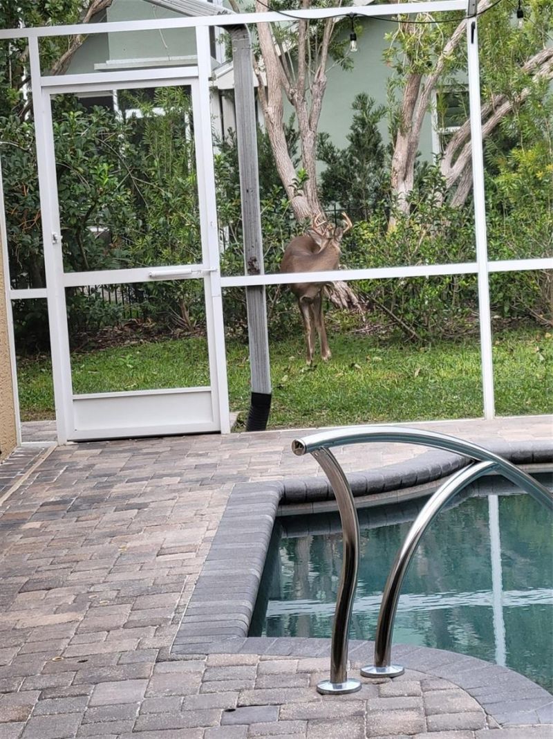 5216 Kernwood Court , Palm Harbor, FL 34685 Photo