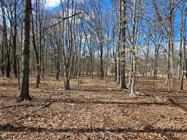 33 Featherbed Ln, Raritan, NJ 08822