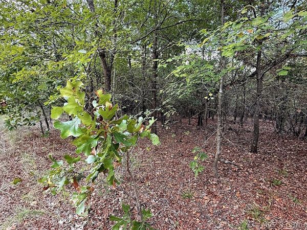 2 S 4531 Road , Vian, OK 74962