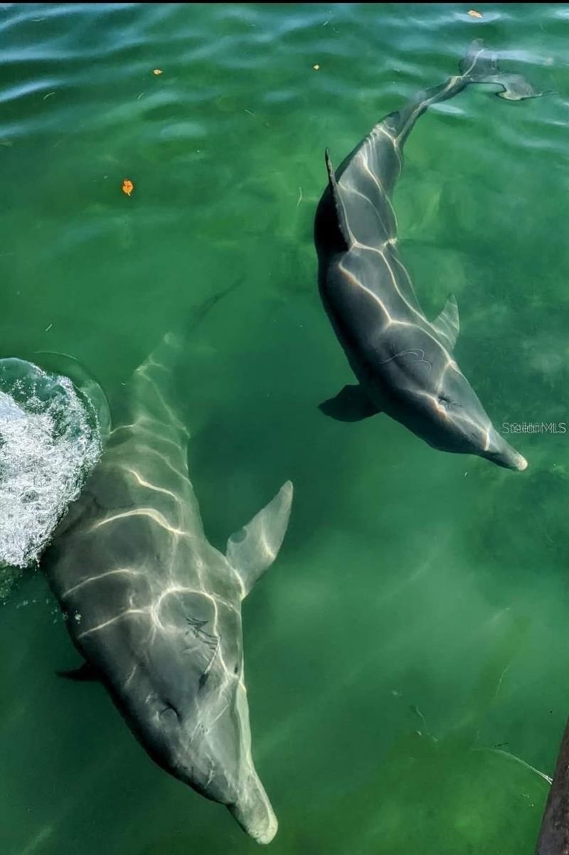 204 Carriage House Lane, Unit 204, Nokomis, FL 34275 Photo