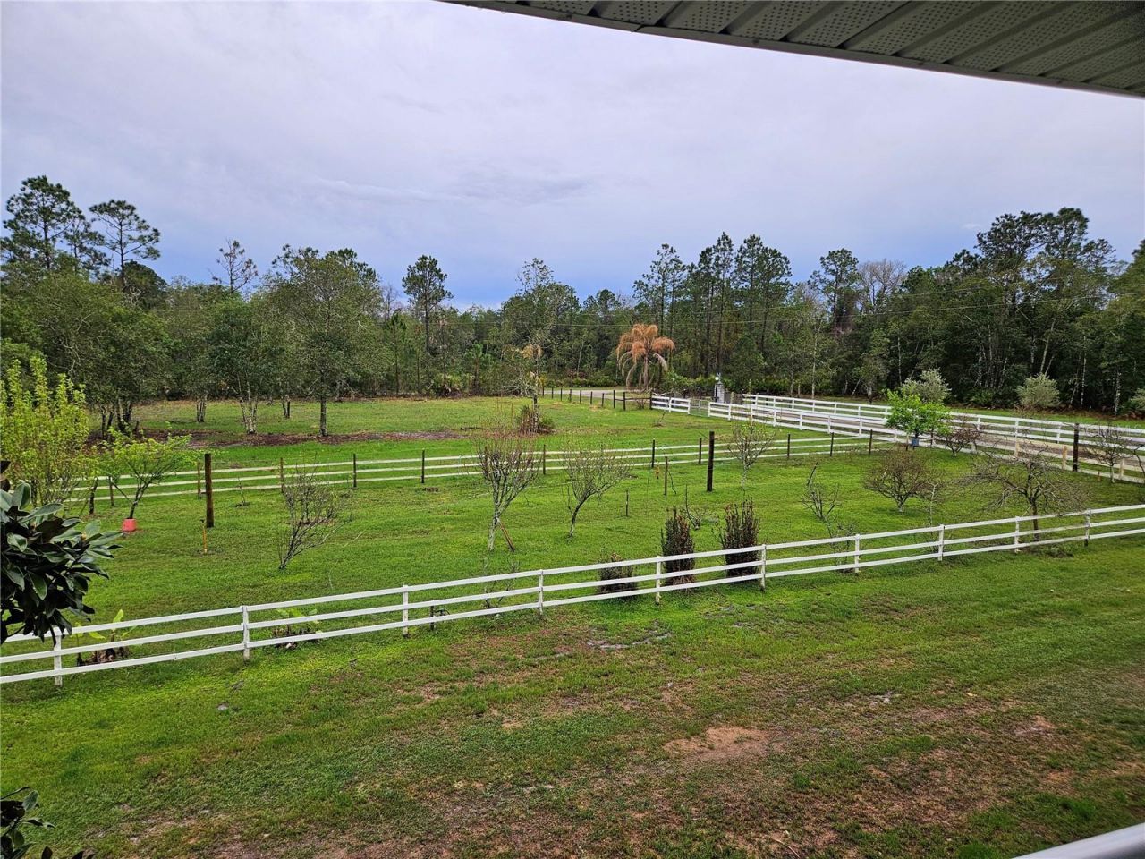 980 Still Road, Pierson, FL 32180 Photo