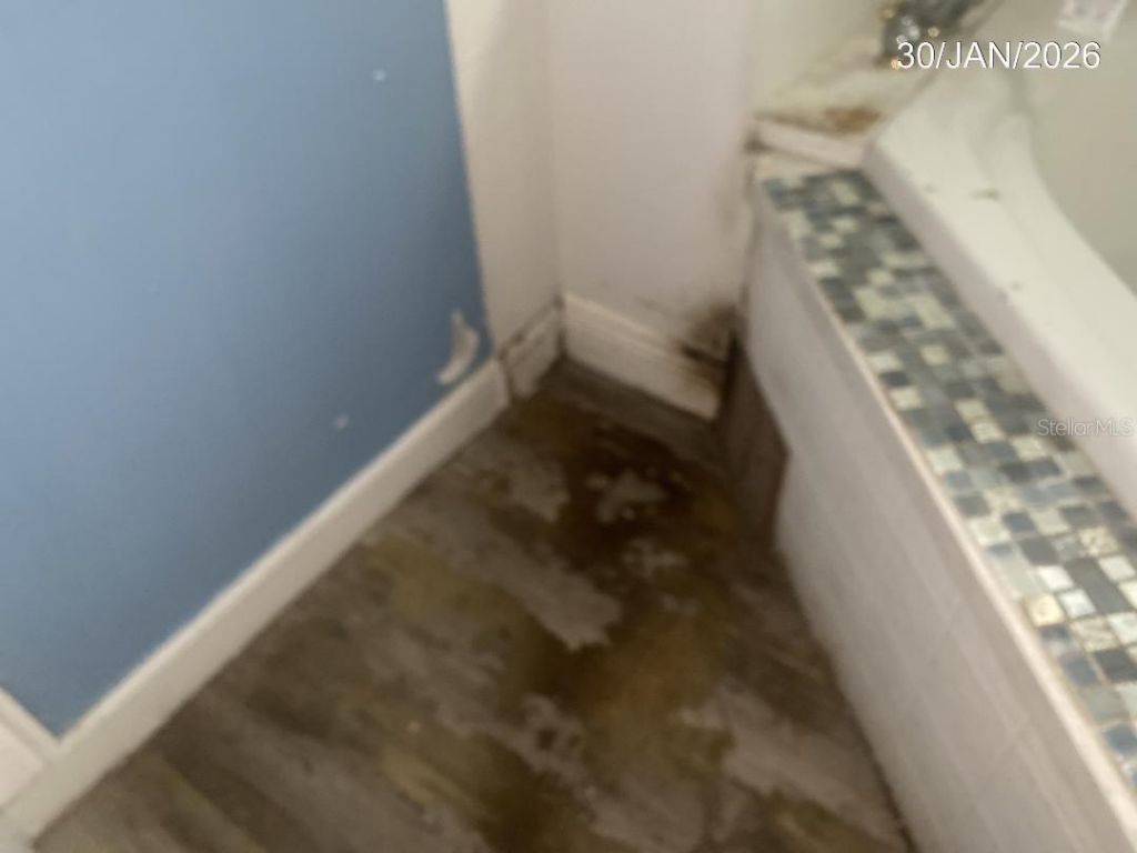 321 Ariana Avenue, Auburndale, FL 33823 Photo