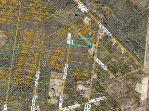 Tr-48 Cactus Road , Boiling Spring Lakes, NC 28461