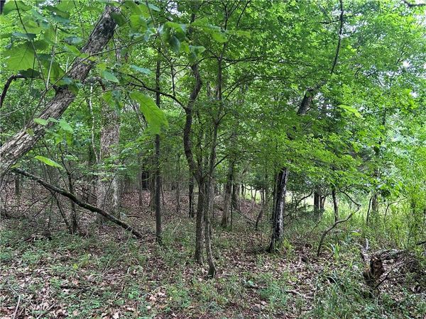 TBD Trammell (Lot 6) Drive, Lowell, AR 72745